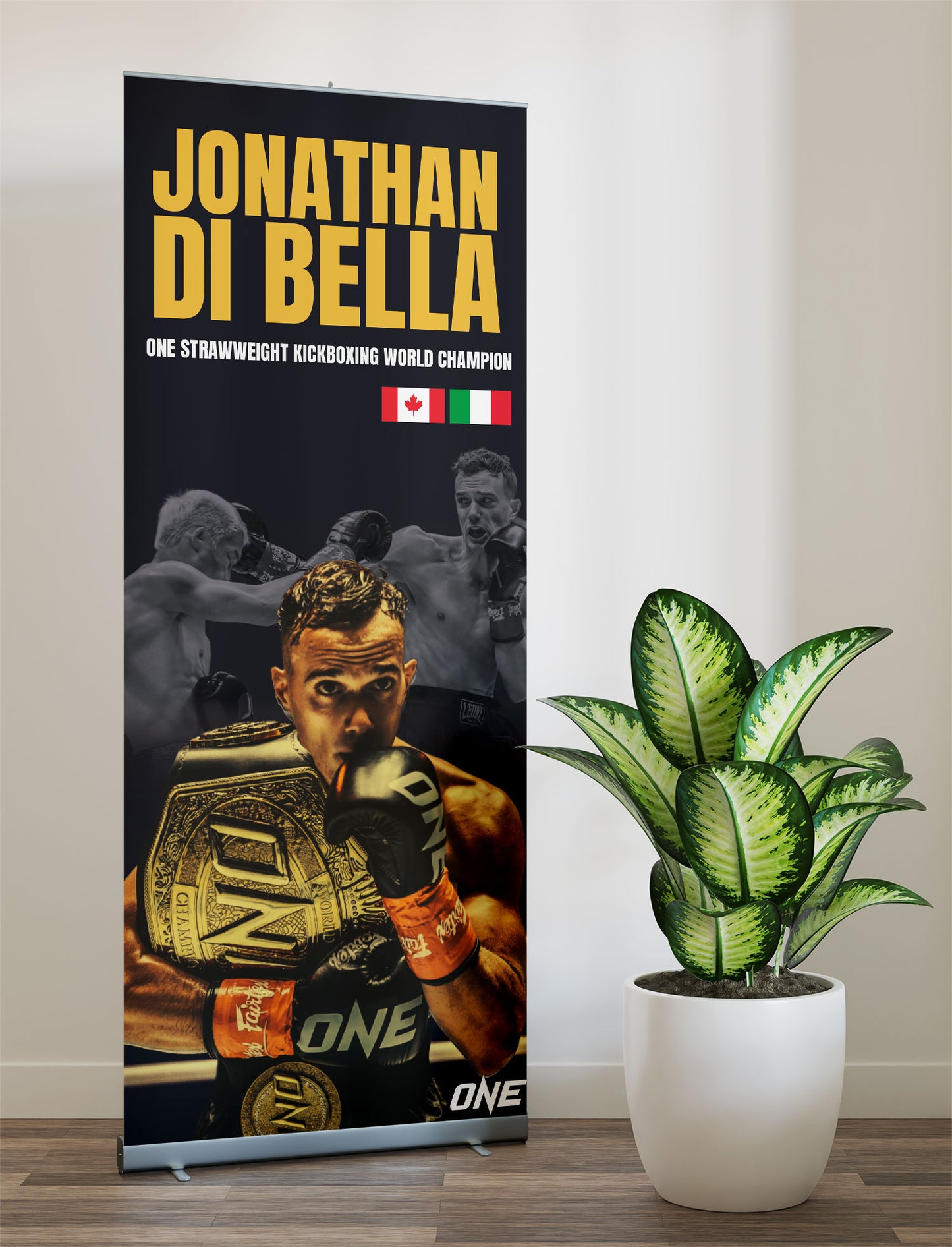 Roll Up Banner