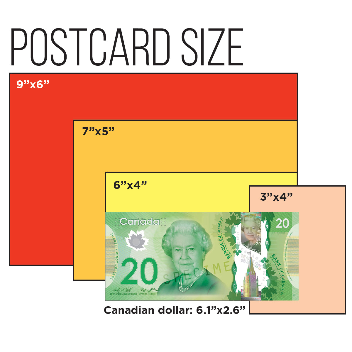 Flyers / Postcards