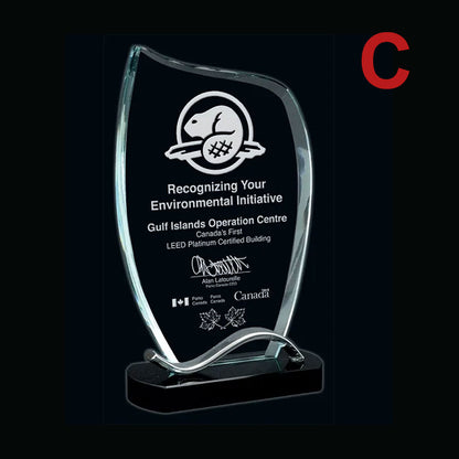 Engraved Trophy